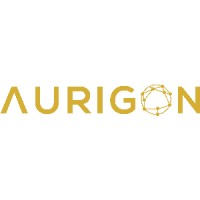 Aurigon LLC logo - Similar company to Lookingfour