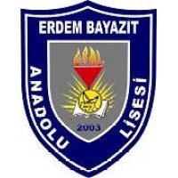 Erdem Bayazıt Anadolu Lisesi logo - Similar company to Vert Global Danışmanlık