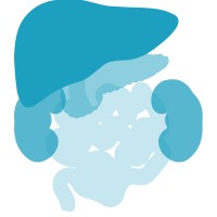 Transplantation Research Group @KU Leuven logo - Similar company to Belgian Medical Students' Association