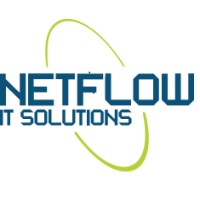 Netflow IT Solutions logo - Similar company to Netflow