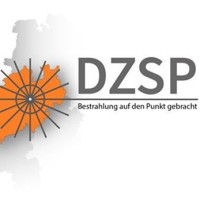 DZSP logo - Similar company to Ssi - Software Solutions Unlimited, Inc