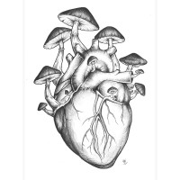Psilocybin Advisors logo - Similar company to Bendable Therapy