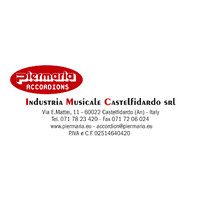 Industria Musicale Castelfidardo Srl logo - Similar company to Comune Di Castelfidardo