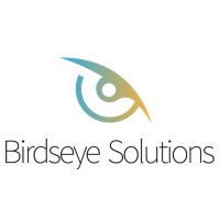 Birdseye Solutions Inc. logo - Similar company to Birdseye Security Solutions