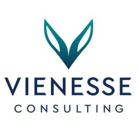 Vienesse Consulting logo - Similar company to Clevis
