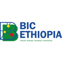 BIC ETHIOPIA logo - Similar company to Pispace Innovations