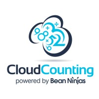 CloudCounting Pty Ltd logo - Similar company to Cloudccounting