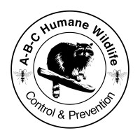 ABC Humane Wildlife Control & Prevention Inc. logo - Similar company to Eclipse Wildlife Control
