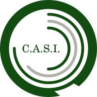 C.A.S.I. - Centro Assistenza Sanità Integrativa logo - Similar company to Ciesseci