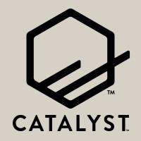 Catalyst - The NetSuite Solutions Company logo - Similar company to Unlockcommerce