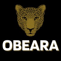 OBEARA Ltd logo - Similar company to Irish Training Solutions
