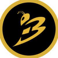 Buziness logo - Similar company to Buziness.Ca
