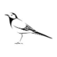 Wagtail Engineering