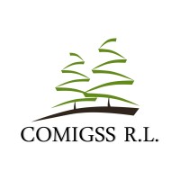 Comigss R.l.