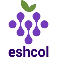 Eshcol Global Services logo - Similar company to Lexington Soft