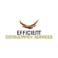 Efficient Consultancy Services logo - Similar company to Decode Business Solutions