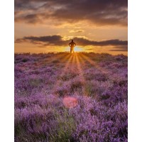 Heideveld Bv