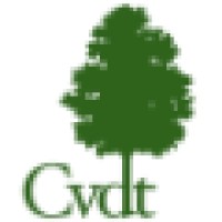 Cvdt Consulting