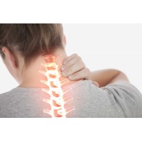 Bệnh thoát vị đĩa đệm - Việt Nam Forestry logo - Similar company to Better Globe Việt Nam