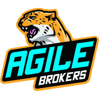 Agile Brokers Pty Ltd logo - Similar company to Loanie Au