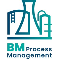 BM Process Management logo - Similar company to Co-Contracting Tpf B.V.