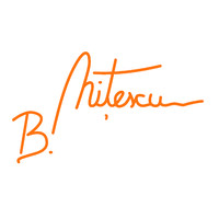 Visual Artist Bogdan Nitescu logo - Similar company to 2Mil