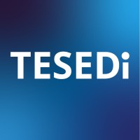 Tesedi logo - Similar company to The Fas Solutions