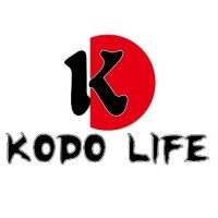 WEIHAI KODO TRADING CO LTD logo - Similar company to Synree