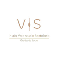 V·S logo - Similar company to Gestoría Remón