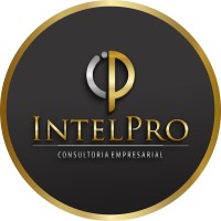 IntelPro logo - Similar company to Intelpro