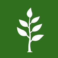 Digital Tree logo - Similar company to Digitaltree Pvt Ltd