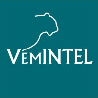 VemINTEL logo - Similar company to Grintraq