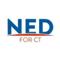 Ned For CT logo - Similar company to Ned - Núcleo De Estudantes De Dados Do Iscte-Iul
