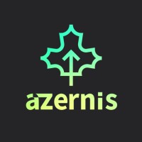 azernis logo - Similar company to Blinkbase – Decoding Opaque Markets