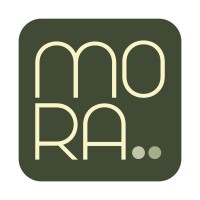 Mora Insights logo - Similar company to Flydesk Projects Private Limited