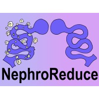 NephroReduce logo - Similar company to Atkas Latam