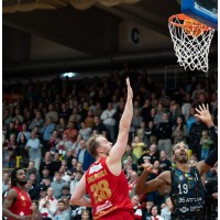 Paderborn Baskets logo - Similar company to Sbb Baskets