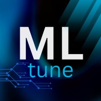 MLtune logo - Similar company to Dec25