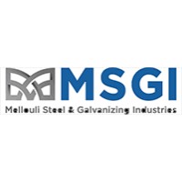 MSGI logo - Similar company to Groupe Matem