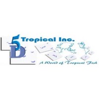 5 D TROPICAL INC