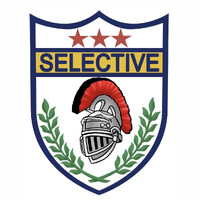 Selective Security Services, Inc. logo - Similar company to Selective Security International
