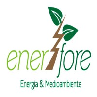 Enerfore logo - Similar company to Beyond Bitcoin Llc