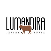 Lumandıra logo - Similar company to Syk Group