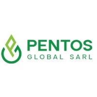 Pentos Global logo - Similar company to Saturno Par