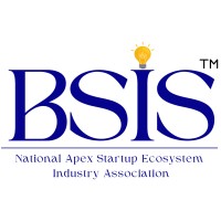 BSIS logo - Similar company to Bsis