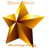 Dhruv Silver logo - Similar company to Nuzzrii