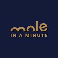 Mole in a Minute logo - Similar company to Morepeaks