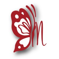 MetaMatch Professional Services