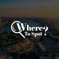 Where To Spot logo - Similar company to Daply | Scaling Digital Publishing