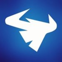 Bison Security logo - Similar company to Gamma Systems Ltd